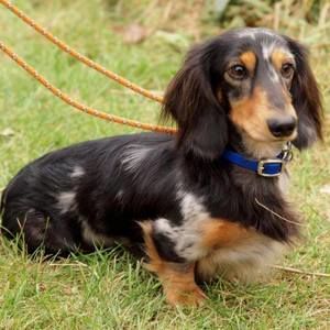 Meet your Posher, Diane